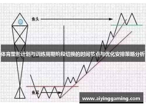 体育塑形计划与训练周期阶段切换的时间节点与优化安排策略分析