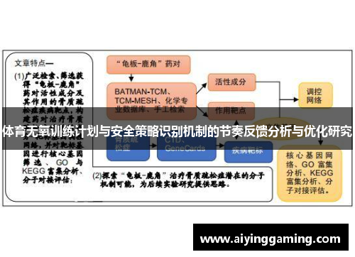 体育无氧训练计划与安全策略识别机制的节奏反馈分析与优化研究