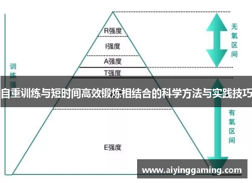 自重训练与短时间高效锻炼相结合的科学方法与实践技巧